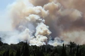 Un incendie à La-Croix-Valmer, près de Saint-Tropez, le 25 juillet 2017