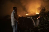 Un volontaire lutte contre un incendie près de la route Transpantaneira, le 13 septembre 2020 dans le Pantanal brésilien