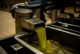 De l'huile d'olive sort d'un oressoir dans une usine de production, le 15 décembre 2020 à Madéna, en Grèce