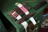 Des échantillons de couleurs qui seront utilisés pour l'impression à la planche des motifs de la créatrice Brigitte Singh, le 2 juin 2022 dans son atelier à Amber, dans l'Etat du Rajasthan, en Inde