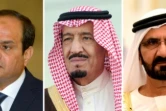COMBO de photos réalisées le 5 juin 2017, (de G à D) l'Emir du Qatar, Cheikh Tamim ben Hamad al-Thani, le président égyptien Abdel Fattah al-Sisi, le roi Salman d'Arabie saoudite, le Premier ministre de l'UAE Cheikh  Mohammed ben Rachid al-Maktoum et le roi de Barhein Hamad ben Issa al-Khalifa
