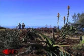 Située sur deux hectares  à Terre-Rouge (Saint-Pierre - Sud), l'Epinacothèque est un jardin insolite consacré aux cactus
