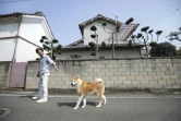 L'éleveur Osamu Yamaguchi promène l'un de ses chiens Akita à Takasaki, au Japon, le 3 avril 2018