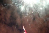 Un homme brandit un drapeau algérien durant un feu d'artifice célébrant l'annonce de la démission du président Abdelaziz Bouteflika, le 2 avril 2019 à Alger