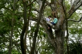 Matilde et sa soeur, deux étudiantes grimpent dans les arbres pour capter le signal internet à El Tigre, le 21 août 2020