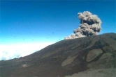 Jeudi 12 avril - 15 heures 05 - Le Dolomieu s'effondre encore
Photo: Observatoire volcanologique de la Plaine des Cafres
