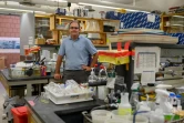 Le virologue John Dennehy, le 25 août 2022, dans un laboratoire du Queens College, à New York