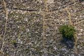 Photo aérienne d'un cimetière à Hong Kong, le 5 novembre 2018