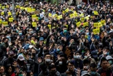 Des manifestants pro-démocratie à Hong Kong le 1er janvier 2020