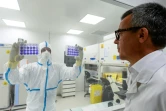 Le directeur général, Franck Grimaud (d), dans le laboratoire de la société de biotechnologie Valneva où un technicien montre des plaques de cellules infectées par le virus du Sars-Cov-2, le 30 juillet 2020 à Saint-Herblain, près de Nantes