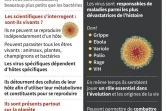 Quelques faits sur les virus