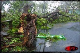 Le cyclone tropical intense Dina s'est abattu sur La Réunion le 22 janvier 2002.