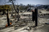 Une ferme après des incendies près du village grec de Gennadi, dans le sud de l'île de Rhodes, le 27 juillet 2023