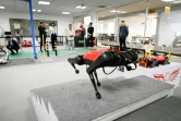 Un robochien dénommé AlphaDog évolue dans l'atelier de l'entreprise Weilan à Nankin, le 2 avril 2021 