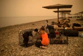 Des animaux domestiques mis à l'abri sur une plage, à Pefki, sur l'île grecque d'Eubée, ravagée par des incendies, le 9 août 2021