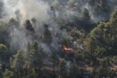 L'incendie fait rage près du village de Stavros sur l'île grecque d'Eubée, le 14 août 2019