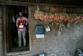 L'agriculteur Balaji Khindkar montre une photo de son frère d'Amol, qui s'est suicidé en raison de l'accumulation de prêts financiers, devant sa maison du village d'Ambilwadgaon, dans l'Etat du Maharashtra, le 3 mai 2025 en Inde