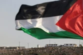 Un drapeau palestinien flotte dans le village de Beita  face à la colline sur laquelle est installée une colonie "sauvage" Eviatar en Cisjordanie occupée, le 13 juin 2021