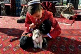 Un garçon caresse un chiot de berger alabaï le 7 novembre 2019 à Achkhabad. Au Turkménistan, Etat reclus et autoritaire, un animal autre que le cheval a gagné les faveurs du président, qui a placé le chien de berger alabaï au coeur de l'identité nationale de l'ex-république soviétique d'Asie centrale.