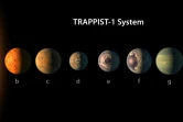 Image fournie le 22 février 2017 par l'Observatoire européen austral (ESO) montrant les planètes du système TRAPPIST-1 
