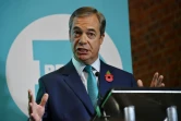 Le dirigeant du parti du Brexit, Nigel Farage, le 2 novembre 2019 à Londres