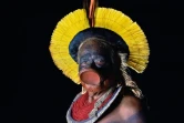 Le cacique Raoni Metuktire le 16 janvier 2020 militant de la cause indigène, dans son village du Matto Grosso au Brésil
