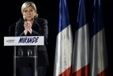 Marine Le Pen lors d'un meeting le 9 mars 2017 à  Mirande 