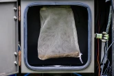 Un sac en filet, utilisé par l'Agence coréenne de contrôle et de prévention des maladies (KDCA) pour piéger les moustiques, placé dans un dispositif de suivi des moustiques au Dorasan Peace Park à Paju, près de la frontière  fortifiée séparant la Corée du Nord et la Corée du Sud, le 30 juillet 2024