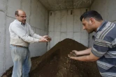 Kamal al-Jebrini (G) tient une poignée de bouse de vache utilisée pour produire du biogaz par méthanisation dans sa ferme d'Hébron en Cisjordanie, le 10 avril 2017