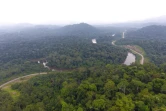 Vue aérienne de la forêt gabonaise, sur une image diffusée le 27 septembre 2019 par Ageos