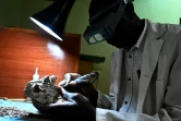 Un employé du musée national de Nairobi nettoie un fossile, le 23 mai 2019 au Kenya