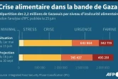 Crise alimentaire à Gaza