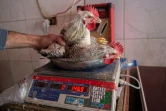 Un vendeur pèse un poulet dans une boutique au Caire, le 17 mars 2022