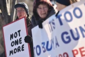 Des manifestants réclament des lois "raisonables" sur les armes à feu le 4 janvier 2016 devant la Maison Blanche à Washington  