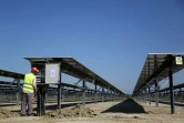 Un technicien travaille sur le site de la centrale photovoltaïque de Karavasta, le 4 octobre 2023 en Albanie