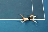 Le joueur de tennis italien Jannik Sinner célèbre après avoir marqué le point de la victoire en finale de l'Open d'Australie contre le Russe Daniil Medvedev à Melbourne le 28 janvier 2024