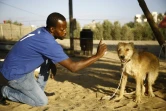 Saïd al-Ar, fondateur de "l'association al-Soulala pour la protection, la rééducation et le dressage", s'occupe d'un chien aveugle le 2 septembre 2016, au sud de Gaza