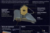 Le télescope James Webb