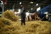 Au Salon de l'agriculture à Paris le 26 février 2022
