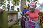 Des villageois regardent des serpents venimeux enfermés dans des boîtes en bois lors d'une campagne d'éducation et de sensibilisation menée par des maîtres-serpents de la Ferme des serpents de Watamu, dans la région rurale de Malindi, où les morsures de serpent sont nombreuses, le 8 avril 2025 au Kenya