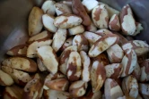 Des noix du Brésil décortiquées, prêtes à consommer, dans la forêt amazonienne, près de Trinchera, le 16 février 2023 en Bolivie
