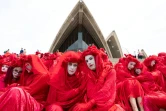 Des militants écologistes du groupe The Red Rebels participent à une manifestation pourle climat, le 15 décembre 2019 à Sydney