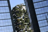 Un détail du complexe "Bosco Verticale", entre deux buildings de verre à Milan