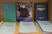 Dans un rapport de 2014, les Nations Unies établissaient une longue liste de crimes en Corée du Nord: extermination, esclavage, torture, viols, avortements forcés, persécutions politiques, déplacements forcés de population, disparitions...