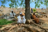 Khatijabi (d), dont le fils Shaikh Latif Sheru, agriculteur, s'est suicidé en raison de l'accumulation de prêts financiers, est assise à l'ombre d'un arbre avec les membres de sa famille sur leurs terres agricoles du village de Mochi Pimpalgaon, dans le district de Beed, dans l'Etat du Maharashtra, le 3 mai 2025 en Inde