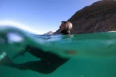 Neels Havenga pratique le bodysurf, le 24 février 2021 à Noordhoek près du Cap en Afrique du Sud