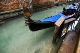 Les eaux claires des canaux de Venise, en raison de l'absence de touristes et l'arrêt des embarcations, le 17 mars 2020