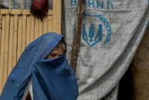 L'ONU estimait en 2006 qu'après trois décennies de guerres, l'Afghanistan comptait 2 millions de veuves. Elles seraient aujourd'hui 2,5 millions.