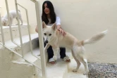 L'Irakienne Marina Jaber chez elle avec sa chienne Majnoona qu'elle a adoptée, le 22 septembre 2017 à Bagdad