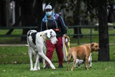 Un promeneur de chiens dans un parc de Bogota le 16 février 2022